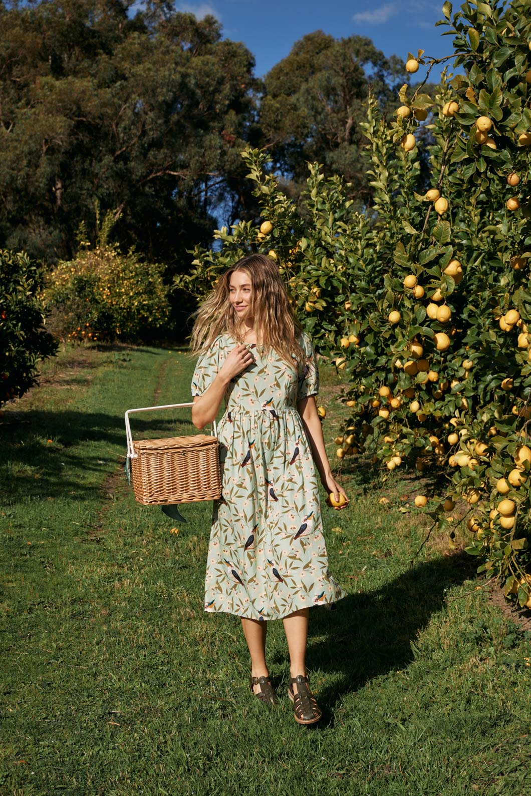 Kookaburra Midi Dress – Princess Highway