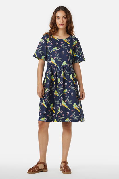 navy