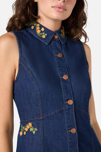 PGFZ170_420_24_1747965992000