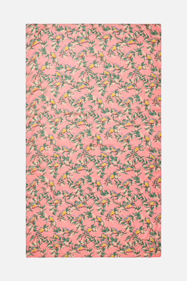 Princess Highway - Eastern Yellow Robin Scarf - pink