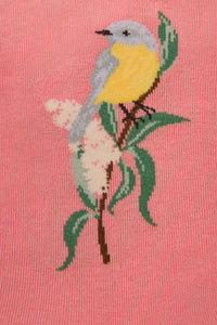 Princess Highway - Eastern Yellow Robin Sock - pink