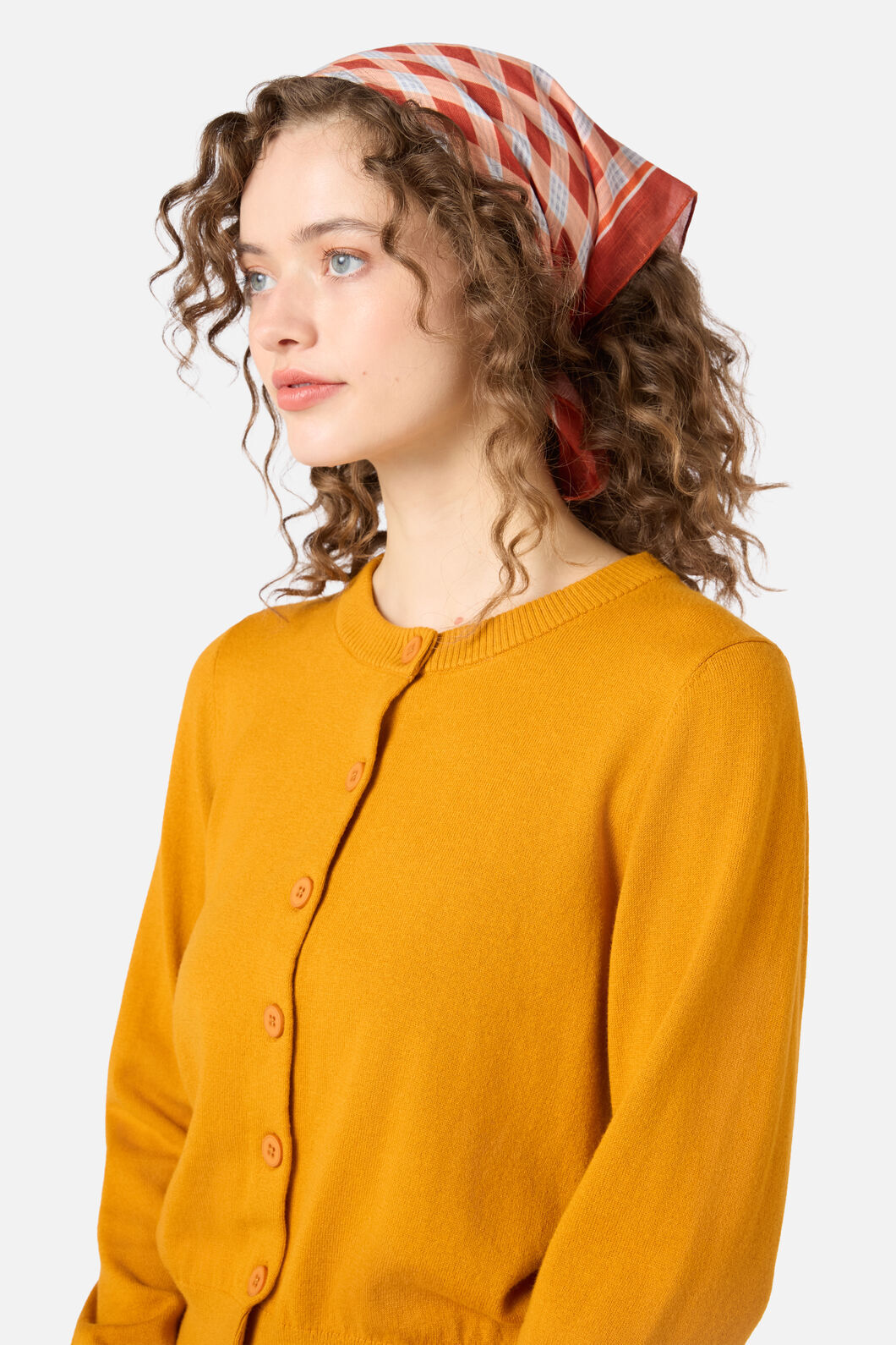 Rust Check Small Scarf – Princess Highway