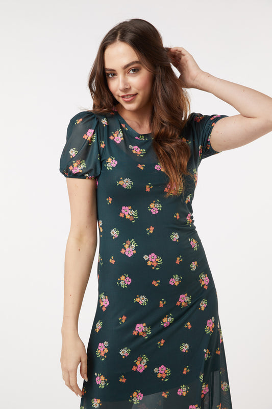 dark-green