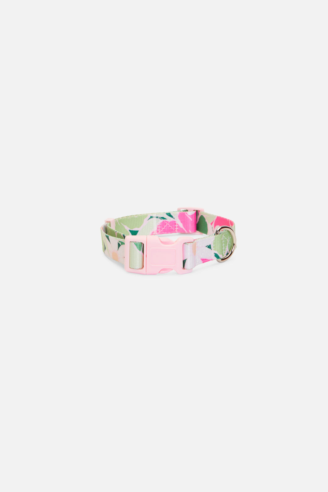 Valentino hotsell dog collar